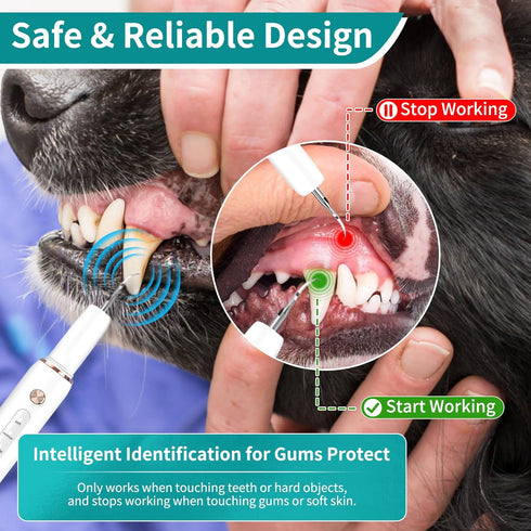 5 IPX6 3 Dog Plaque Tartar Remover, Electric Toothbrush Teeth Cleaner Dental Care Kit for Dogs Cats- Modes LED