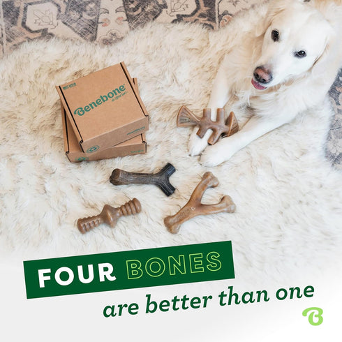 Benebone Large 4-Pack Dog Chew Toys for Aggressive Chewers | Made in USA, 90lbs and Under