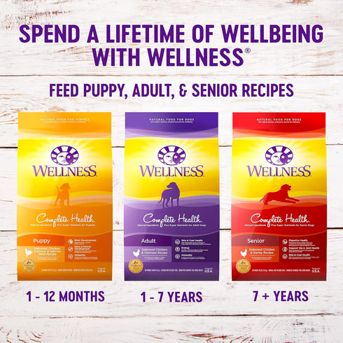 Wellness Natural Pet Food Complete Health Natural Dry Small Breed Healthy Weight Dog Food, Turkey & Rice, 4 Pound (Pack
