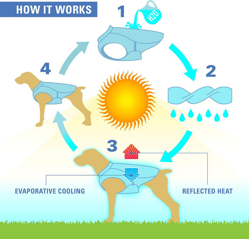 Kurgo Dog Core Cooling Vest, Evaporation Cooler Coat for Dogs, Reflective Material, Adjustable Straps (Large)