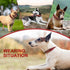 Spiked Leather Dog Collar with Bullet Rivets, Soft Adjustable Collar for Small Medium Large Dogs, Red, L.