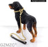 Dog Chain Collar 13/15/19MM High Polished Stainless Steel 18K Gold NK P Chain for Small Dogs
