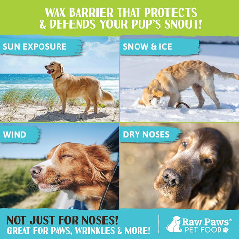 Raw Paws Nose & Paw Balm - Value Size - (4-Ounce) - Dog Nose Balm & Cat Nose Relief for Dogs & Cats