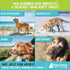 Raw Paws Nose & Paw Balm - Value Size - (4-Ounce) - Dog Nose Balm & Cat Nose Relief for Dogs & Cats