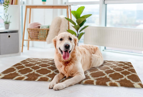 Van Ness Pets Vetbed Dog Bed, Cat Pad, Non-Slip, Self Warming, Machine Washable Crate Mat, 39.5" x 29.5"