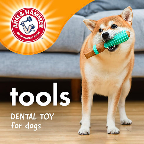 Arm & Hammer for Pets Chew Tools Collection, Wood Blend Paintbrush Chew Toy for Dogs, 7.5 Inch