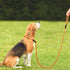 PetiFine Slip Lead Dog Leash, 6FT x 1/2", Reflective Durable Heavy Duty Adjustable Nylon Dog Rope Leash for Small