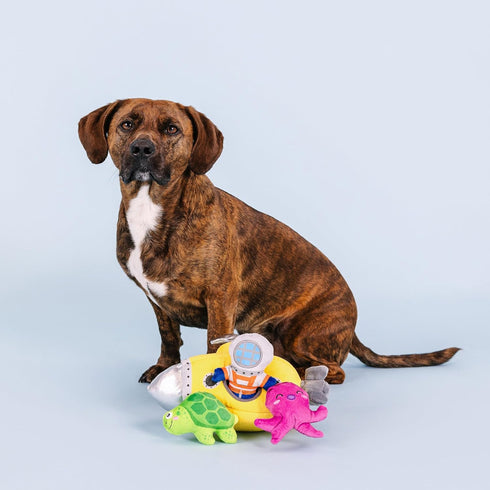 Fringe Studio Plush Dog Toy Set, Interactive Hide and Seek Play, Into The Deep, Pet Shop Collection