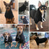 BINGPET Dog Hoodies - Fleece Lined Sweatshirt for Small, Medium, Large Dogs & Cats