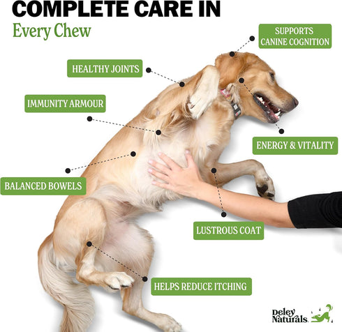 Deley Naturals 15 in 1 Dog Multivitamin Treats - 120 Grain Free Soft Chews for Immune System, Skin & Coat, Joint