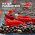 (Pack 10) Fire Red Premium High-Grade Cherry Shrimp Neocaridina Freshwater Aquarium, Live Shrimp Freshwater Aquarium