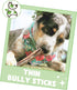 Nature Gnaws Thin Bully Sticks for Dogs 5-6" (8oz) - Mixed Thickness, Long Lasting for Small Dogs and Puppies