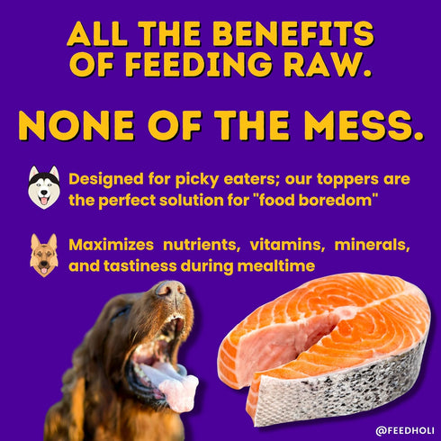 HOLI Freeze Dried Salmon Dog Food Topper - Human-Grade Wild Caught Salmon with Omega 3 & 6 - 1.5oz Flavor Enhancer