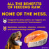 HOLI Freeze Dried Salmon Dog Food Topper - Human-Grade Wild Caught Salmon with Omega 3 & 6 - 1.5oz Flavor Enhancer