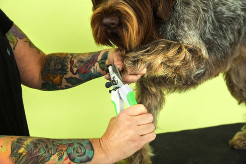 Andis 68575 Animal Nail Cutter - Stainless Steel Blades for Small Breeds, Recommended by Pet Trainers (Medium Size)
