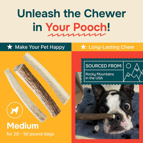 Split Medium Elk Antlers for Dogs (3 Pack) - Natural, Long-Lasting Chews for Aggressive Chewers, Naturally Shed in USA