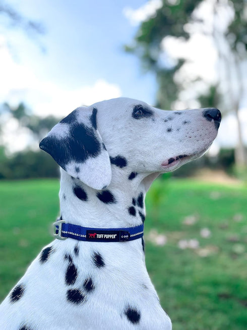 Tuff Pupper Heavy Duty Dog Collar, Tough Reflective Collar with Aluminum D-Ring Leash Clip, Easy Sizing for All Breeds