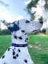 Tuff Pupper Heavy Duty Dog Collar, Tough Reflective Collar with Aluminum D-Ring Leash Clip, Easy Sizing for All Breeds