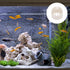 balacoo 2pcs Fish Tank Filter Guard | 50mm Intake Filter Cover | Permeable Net Strainer & Overflow Filter Screen for