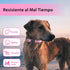 PcEoTllar Light Up Dog Collar for Night Walking, LED Rechargeable Color Changing, Waterproof for Large Medium Small Dogs