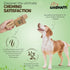 Safe Natural Coffee Wood Dog Chew - Durable Chew Toys for Puppies 0-6 Months, Pack of 2 PCS, Perfect Teething Stick