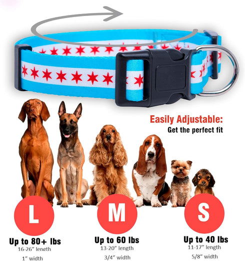 Native Pup Chicago Flag Dog Collar, Large