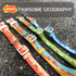 LaRoo Waterproof Dog Collar, Heavy Duty PVC Pet Collars for Training, Cool Design for Outdoor Playing
