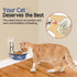 Cat Feeder, Wall Mounted, Raised Stainless Steel Bowls with Stand, Nonslip No Spill, 2 Packs (Blue)