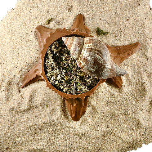 Lucky Critter Hermit Crab Food Dish Tree Stump | Hermit Crab Feeding Dish Food Bowl | Feeding Supplies Accessories