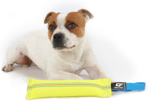 Dog Bite Tug Toy - 10 Inches Durable Interactive Toy for Medium to Large Dogs, Perfect for Tug of War