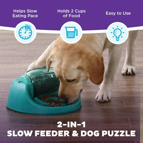 2 Outward Hound by Nina Ottosson Spin N' Eat Dog Puzzle and Slow Feeder, Level Intermediate Enrichment Toy, Green