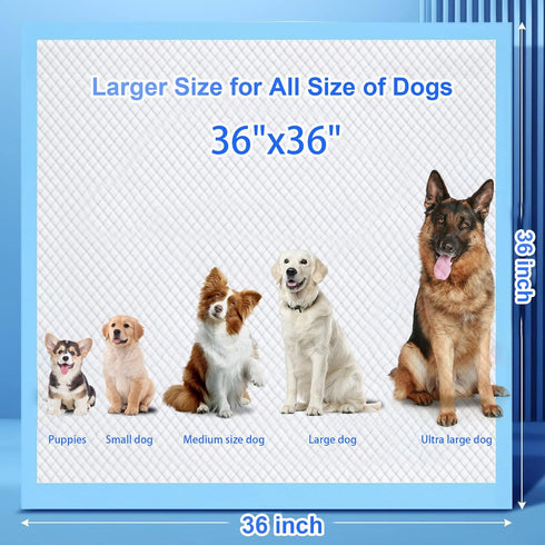 36"x36" 40 Count, XXXL Puppy Pee Pads for Dogs Extra Large Dog Pee Pads, Leak-Proof & Super Absorbent Dog Pee Pads