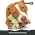 Barkbox Super Chewer Tough Dog Chew Toys for Aggressive Chewers, Dental Stimulating (Chopper - Large)