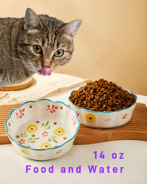 Premium Cat Food Bowl Set of 2, 6” Ceramic Cat Water Bowl, Cute Shallow Weighted Cat Dishes for Indoor Cats