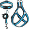 Mile High Life Night Reflective Double Adjustable Band Nylon Small Puppy Collar Leash and Harness Set (Reflective Edge