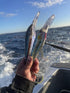Nomad Design DTX Minnow 200 Heavy Duty SNK 8 Saltwater Fishing Lure, Deep Diving Minnow Lure Ideal for Tuna and Wahoo
