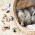 Weewooday 12 Pieces Cat Pom Pom Balls Toys, Large Fuzzy Plush Ball for Cats Pets Interactive Playing