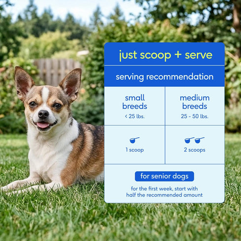 12-in-1 Immune 30 Native Pet Senior Daily Dog Vitamins & Supplements Dog Multivitamin Powder for Senior Dogs Supports