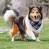 8 Pack Triangle Dog Bandanas, Reversible Plaid Painting Bibs, Washable Christmas Dog Apparel & Accessories Set