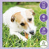 Nature Gnaws Braided Gnaws for Dogs - 5-6" (10 Count), Long Lasting Natural Beef Bully Stick Combo