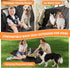 Hammock Simple Trending Dog Car Seat Cover, Back Seat Pet Bed Mat Protector Waterproof Bench Car Seat Cover, Nonslip
