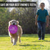 Hyper Pet 9" Flippy Flopper Flying Disc Dog Toy, Soft, Floats in Water, Safe on Teeth, Pack of 1, Purple Swirl