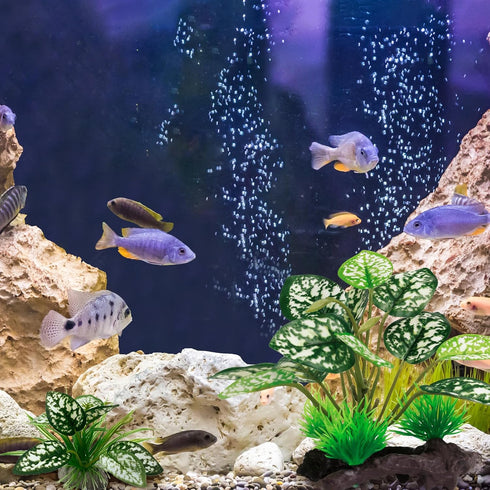Reptile Artificial Plants, Terrarium Decorations, Aquarium Fish Tank Plant, Amphibian Habitat Accessories (M