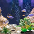 Reptile Artificial Plants, Terrarium Decorations, Aquarium Fish Tank Plant, Amphibian Habitat Accessories (M