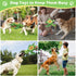 ZYBDP Interactive Dog Toy, Green Turtle Plush with Slow Feeder Bowl, Squeaky Chew Toy