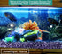 MAIBAOTA Natural Amethyst Crystal Quartz Rocks Chips for Small Fish Tank
