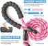 BAAPET 2/4/5/6 FT Dog Leash with Comfortable Padded Handle and Reflective Threads for Small Medium Large Dogs, Pink