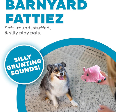 Outward Hound Fattiez Pig Plush Squeaky Toy for Small Dogs