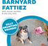 Outward Hound Fattiez Pig Plush Squeaky Toy for Small Dogs
