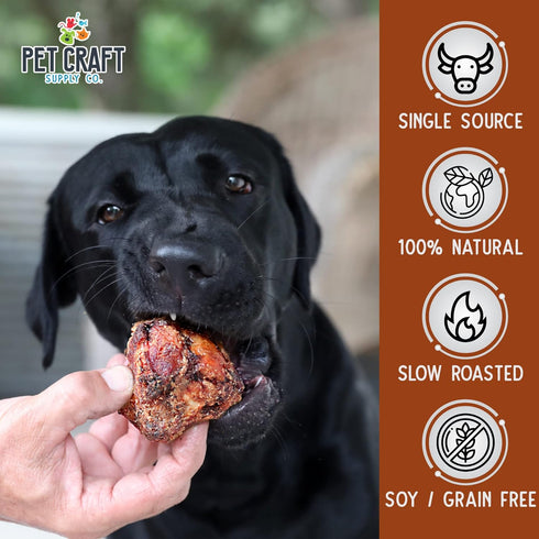 Pet Craft Supply USA Made Meaty Beef Knee Caps Bones, 10-Pack, Dog Treats for Aggressive Chewers